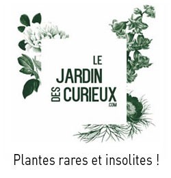 Le Jardin des Curieux